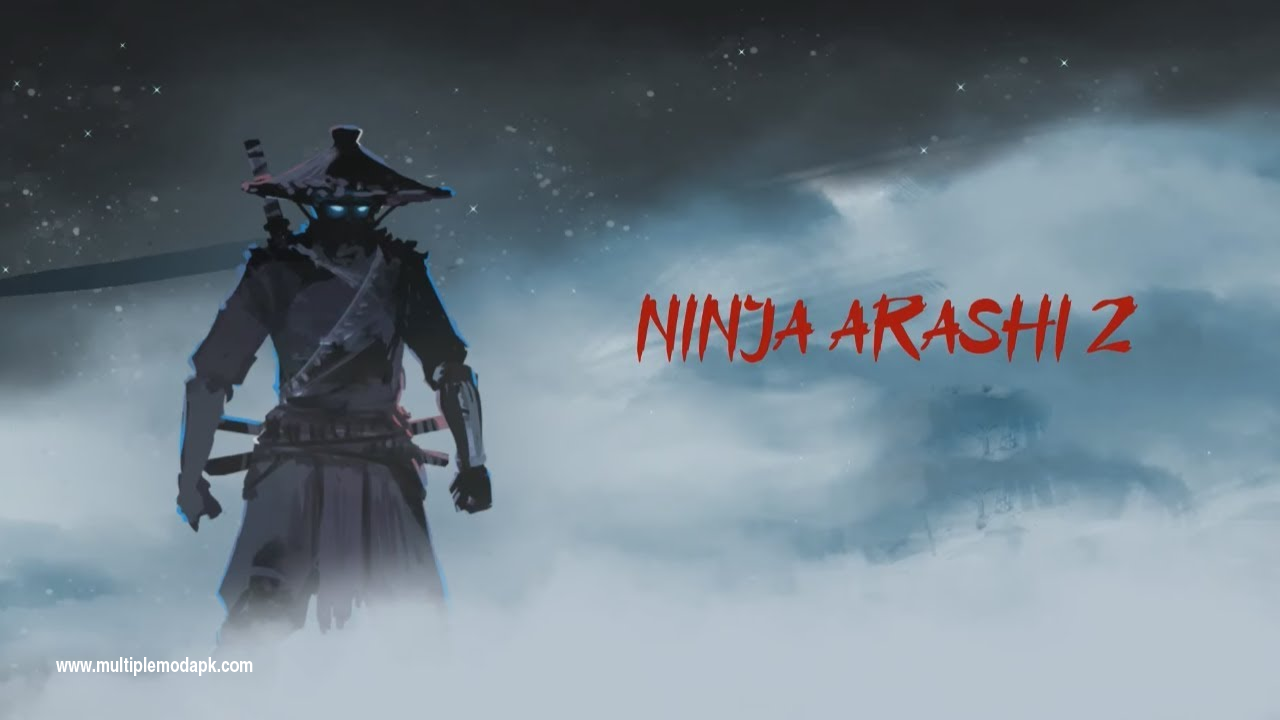 Ninja Arashi 2 mod apk